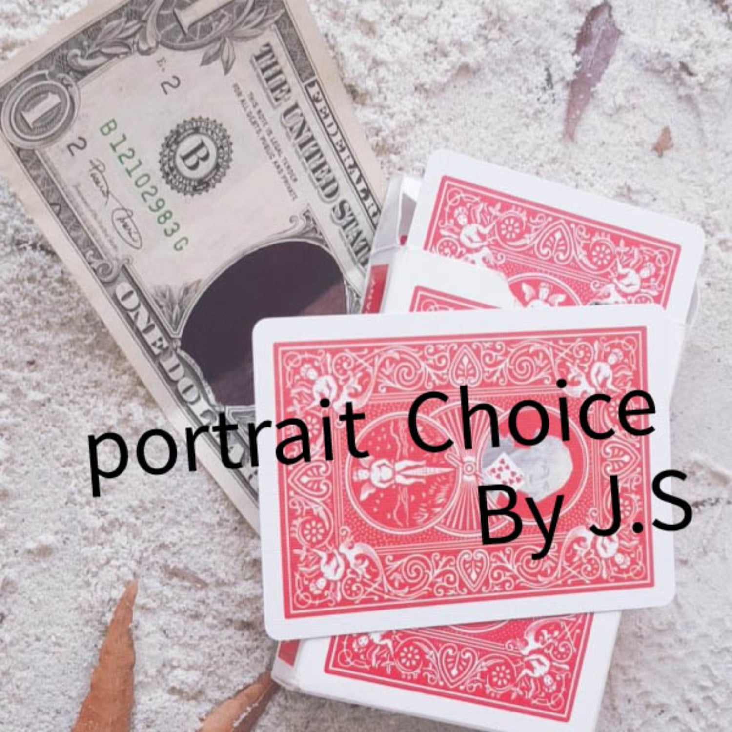 portrait choice