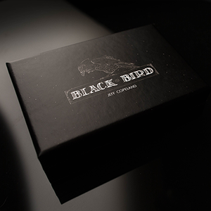 블랙버드(Blackbird by Jeff Copeland (유매직 우리말해법 추가제공)